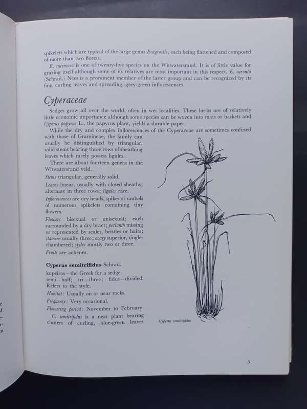 WILD FLOWERS OF THE WITWATERSRAND / ANNABELLE LUCAS AND BARBARA PIKE(Signed by Artist)