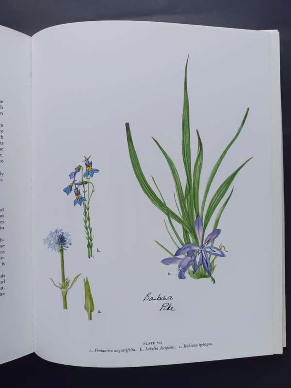 WILD FLOWERS OF THE WITWATERSRAND / ANNABELLE LUCAS AND BARBARA PIKE(Signed by Artist)