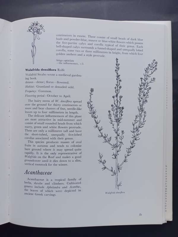 WILD FLOWERS OF THE WITWATERSRAND / ANNABELLE LUCAS AND BARBARA PIKE(Signed by Artist)