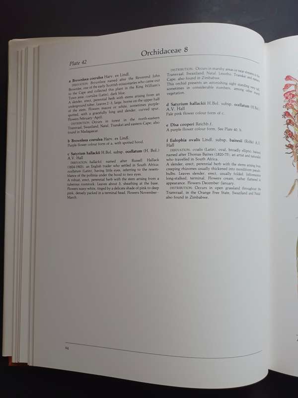 Transvaal Wild Flowers / Anita Fabian & Gerrit Germishuizen