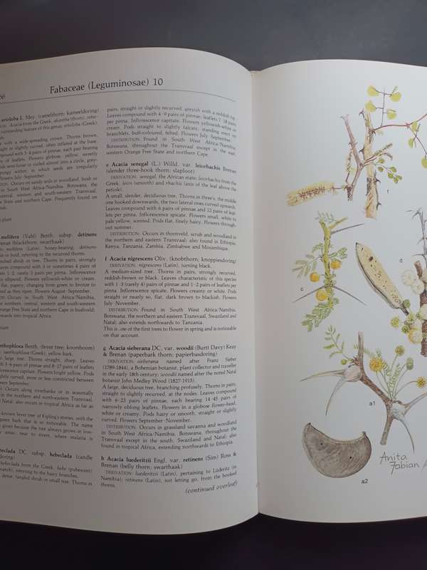 Transvaal Wild Flowers / Anita Fabian & Gerrit Germishuizen