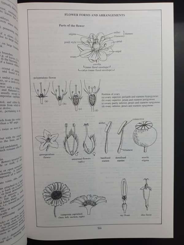 Index of Garden Plants/ Mark Grifftths