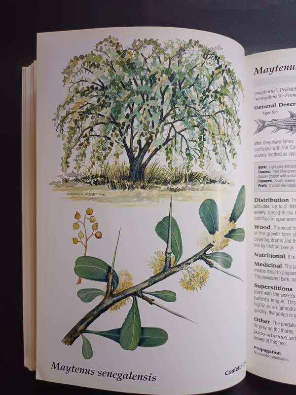 The Shell Field Guide to the Common Trees of the Okavango Delta and Moremi Game Reserve / V. Roodt
