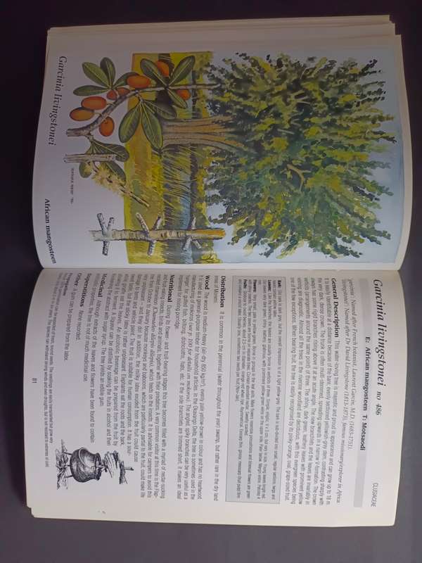 The Shell Field Guide to the Common Trees of the Okavango Delta and Moremi Game Reserve / V. Roodt