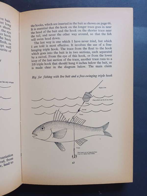 Salt Water Fishing In Southern Africa / Charles Horne