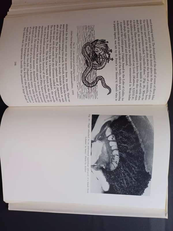 So Great Thy Sea ( A study of the oceans) By: Von Bonde, Cecil