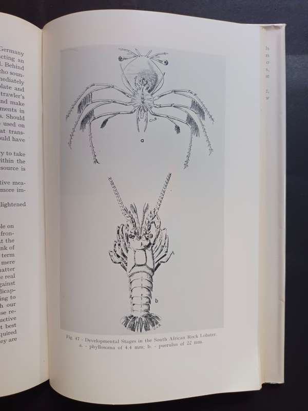 So Great Thy Sea ( A study of the oceans) By: Von Bonde, Cecil