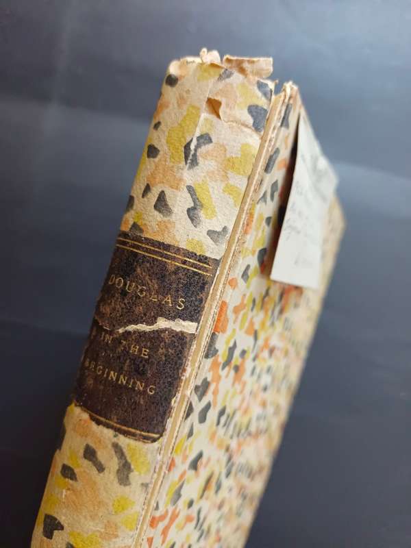 IN THE BEGINNING / Douglas, Norman (Limited edition & signed)
