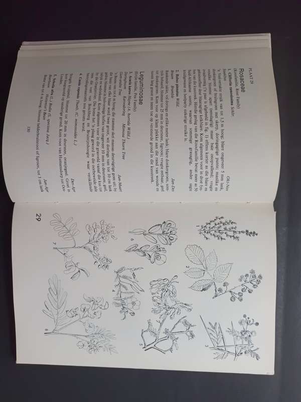 Veldblomme van Oos-Kaapland / Eily Gledhill