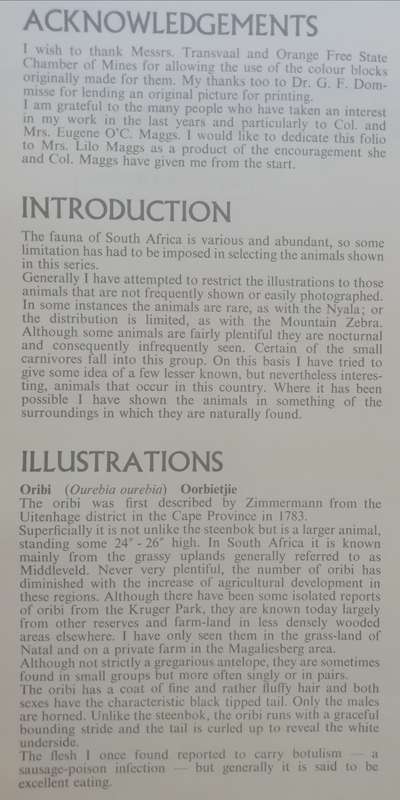 A Folio of South African Animals by Dick Findlay (Limited Edition)