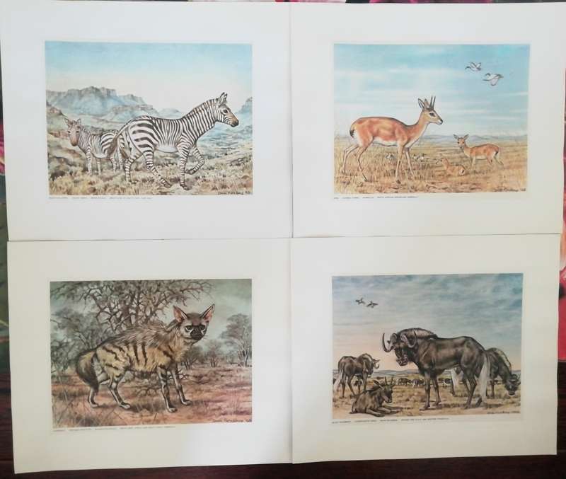 A Folio of South African Animals by Dick Findlay (Limited Edition)
