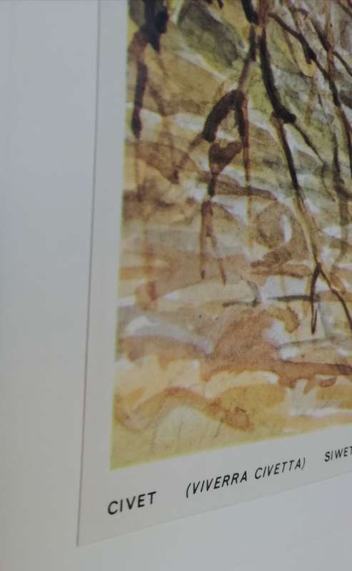A Folio of South African Animals by Dick Findlay (Limited Edition)