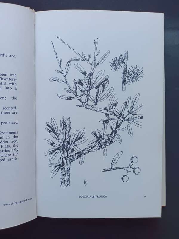 TREES AND SHRUBS OF THE WITWATERSRAND / Illustrated by Barbara Jeppe