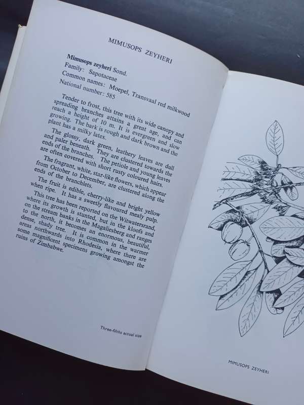 TREES AND SHRUBS OF THE WITWATERSRAND / Illustrated by Barbara Jeppe