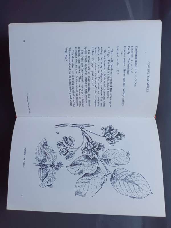 TREES AND SHRUBS OF THE WITWATERSRAND / Illustrated by Barbara Jeppe