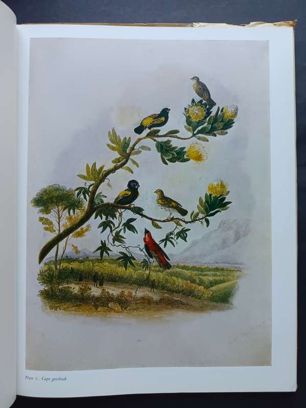 Christopher Webb Smith: An Artist at the Cape of Good Hope 1837-1839 / A. Gordon-Brown