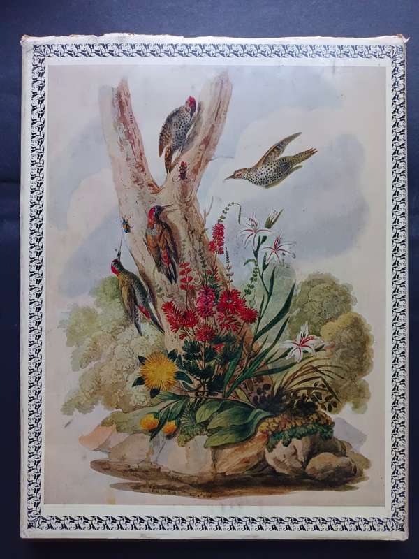 Christopher Webb Smith: An Artist at the Cape of Good Hope 1837-1839 / A. Gordon-Brown