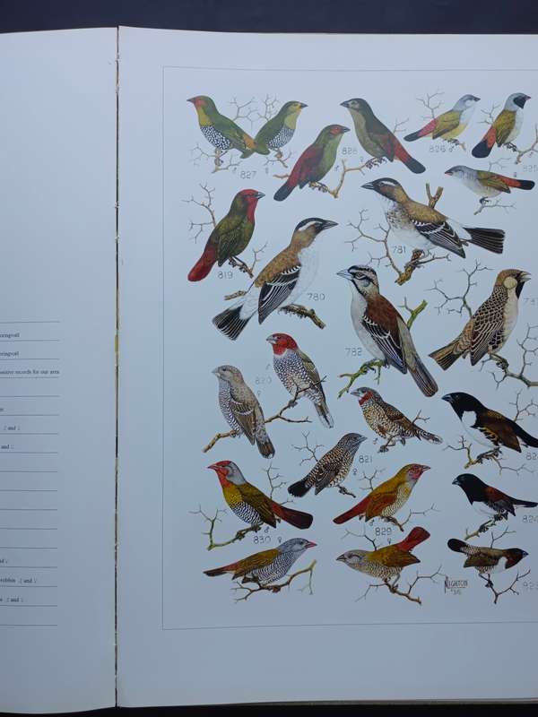 The Paintings of Norman Lighton for Roberts Birds of South Africa / A V Bird