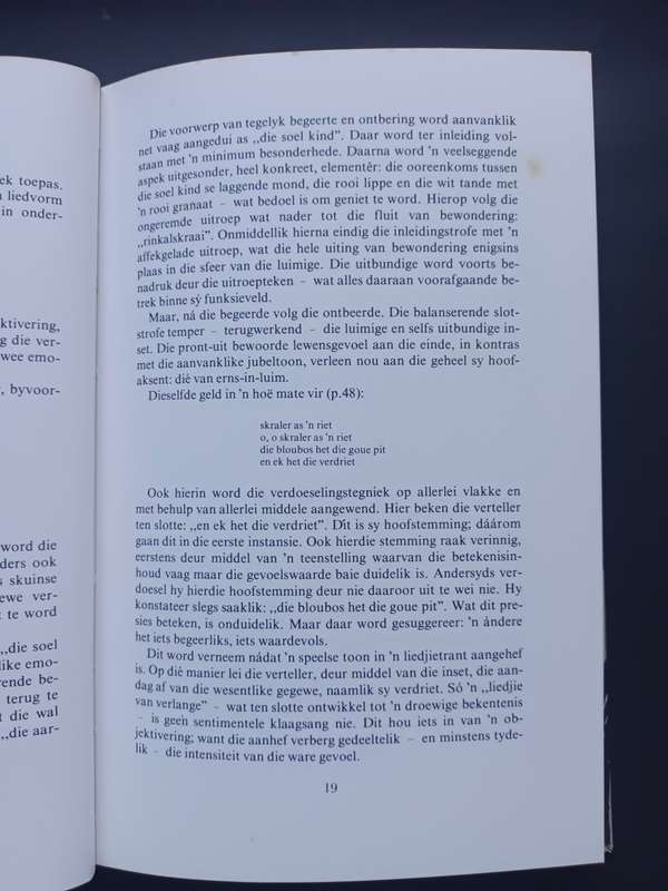 Oor literatuur 1 / C.J.M Nienaber