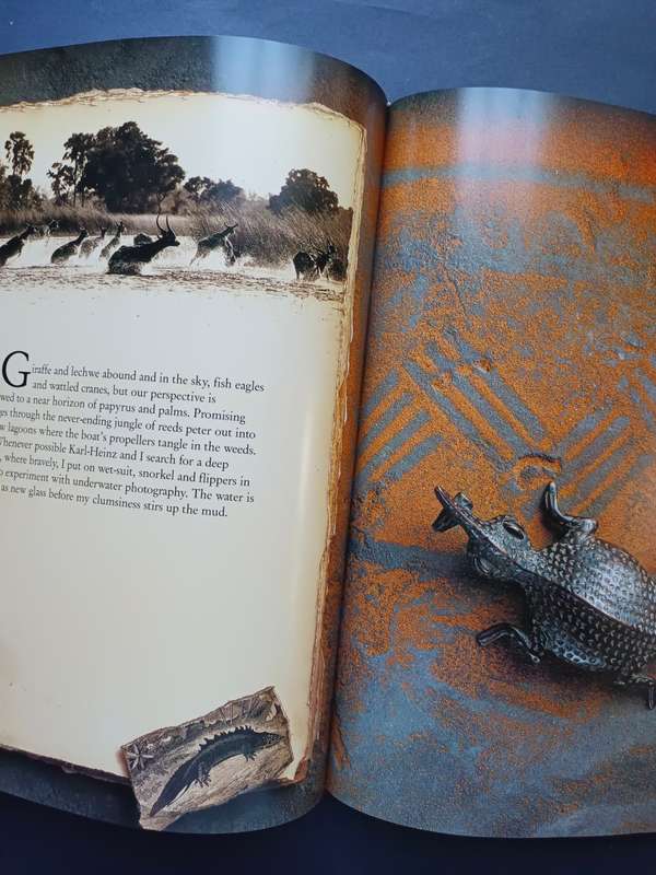 An African Journal / Horst Klemm