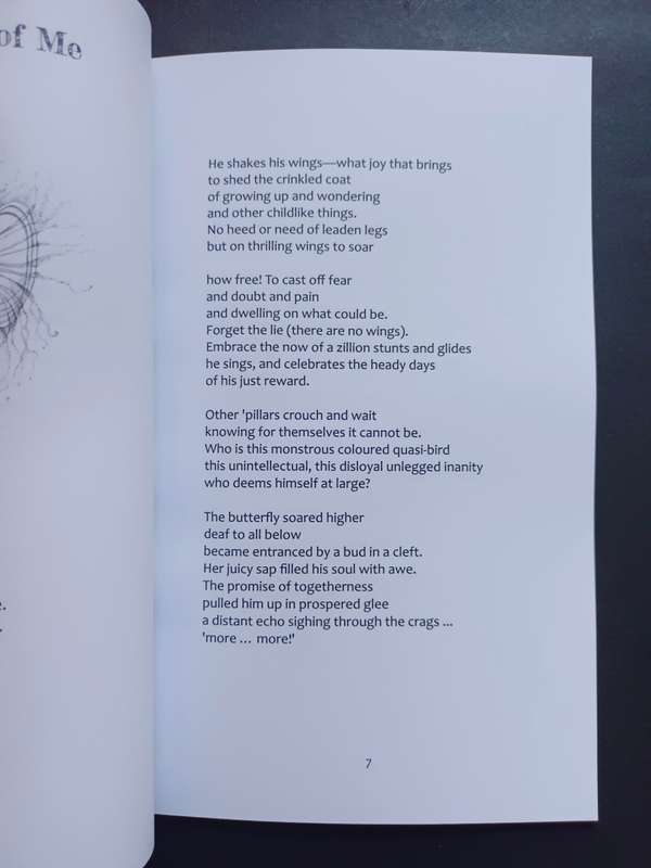 FLOTSAM & JETSAM : A half-life of poems / Lana Hunneyball