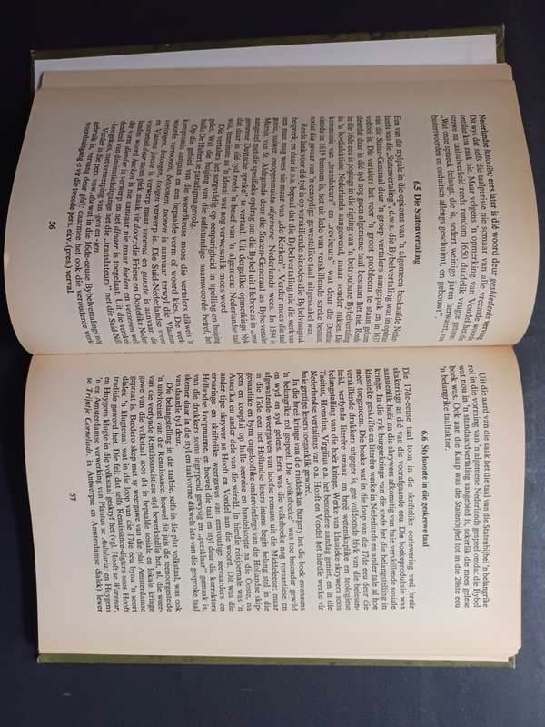 AFRIKAANS EN SY EUROPESE VERLEDE / E. H. RAIDT