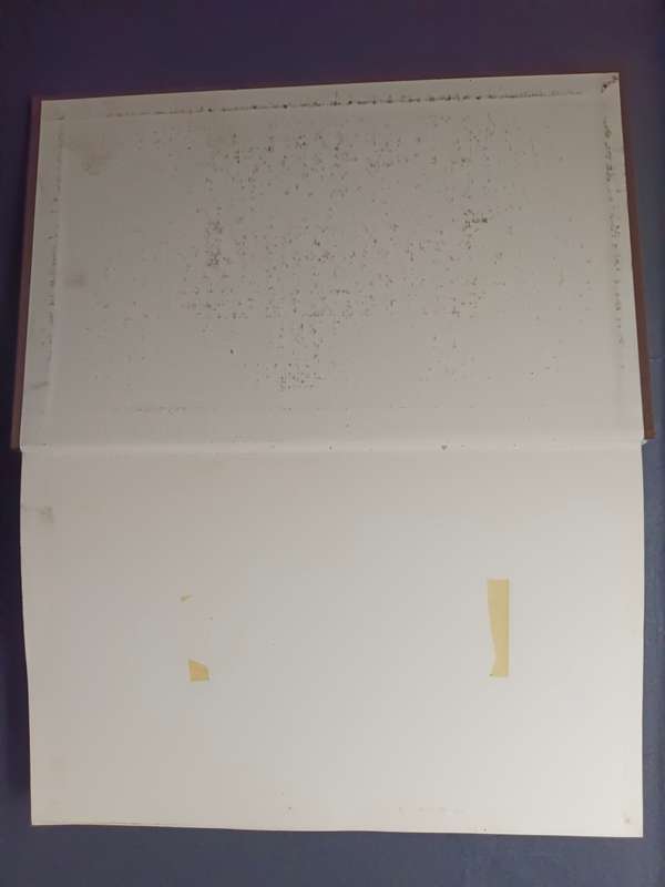 Journals of Sophia Pigot / Edited by Margaret Rainier