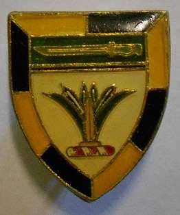 SWA Sector 10 Training Unit Small Flash / Pin 17mm x 20mm