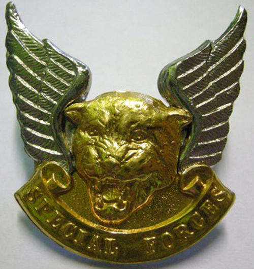 Transkei Special Forces Cap Badge Bi-Metal
