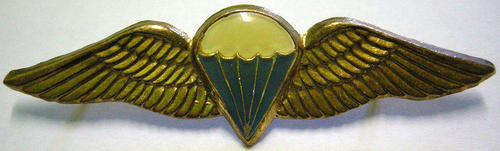 SA Paratrooper Basic Wing Full Size