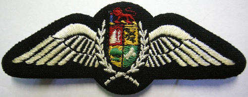 S.A.A.F. Pilot Wings Embroidered Two Pins 97mm x 37mm