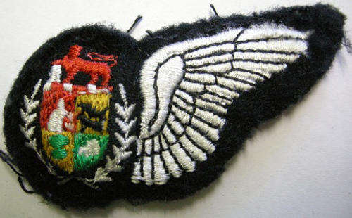 S.A.A.F. Navigator Half Wing Embroidered Padded 76mm x 33mm