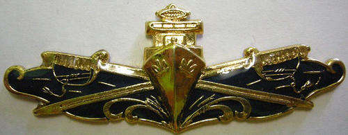 SA Navy Executive Officers Breast Badge Full Size No Pins