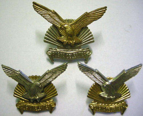 Durban Regiment Cap & Collar Badges Bi-Metal