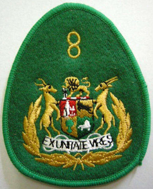 8 Division Sergeant Major Rank Badge Embroidered on Felt Single
