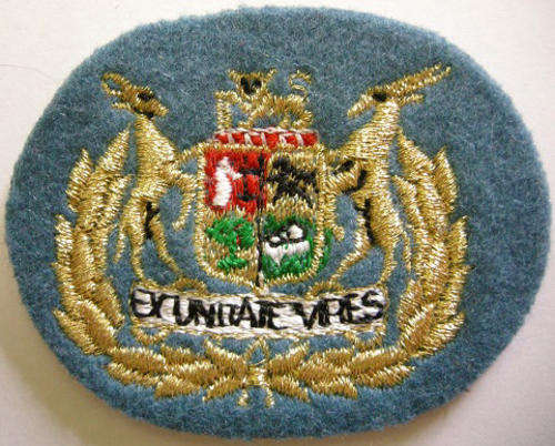 SAAF Sergeant Major Class I Rank Badge Embroidered Lurex Wire on Felt Single
