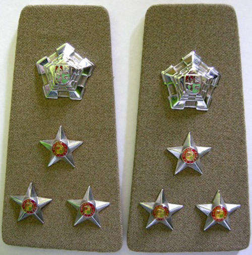 Brigadier Rank Insignia Pair