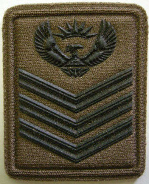 SANDF Staff Sergeant Collar Rank Insignia Field Dress Rubberised Single