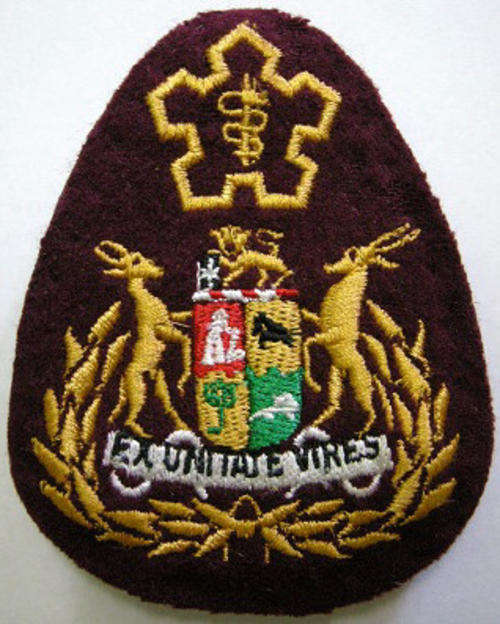 Sergeant Major of the SA Medics Rank Insignia Embroidered on Felt Single