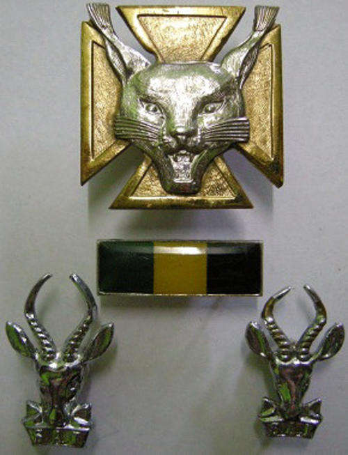 7 SAI Cap & Collar Badges & Beret Bar