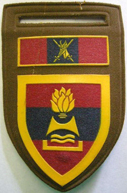 2 Field Engineer Regiment Rubberised Shoulder Flash Pin Intact