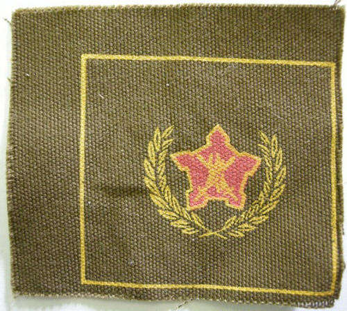 SA Army Five Year Voluntary Service Badge Printed on Material