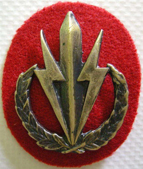 4 SAI Beret Badge w/ Felt Backing