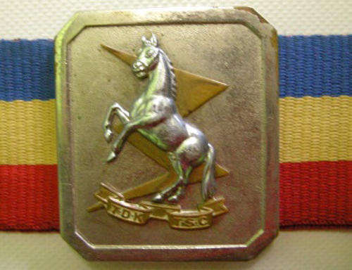 Technical Services Corps Stable Belt Length of Belting Excl Buckle 100cm