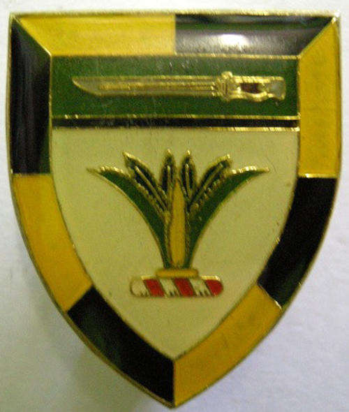 SWA Sector 10 Training Unit Pocket Flash 28mm x 34mm