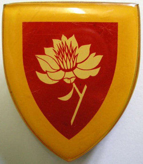 SA Army Women's College Shoulder Flash Three Pins