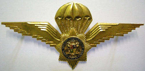 SA Police Task Force Parachute Wing Lucite Covered