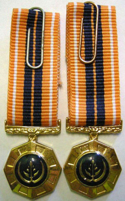 Miniature Pro Patria Medal Raised Epoxy x 2 Variations SEE DESCRIPTION