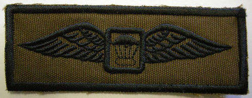 SA Parachute Instructors Wing Embroidered on Material