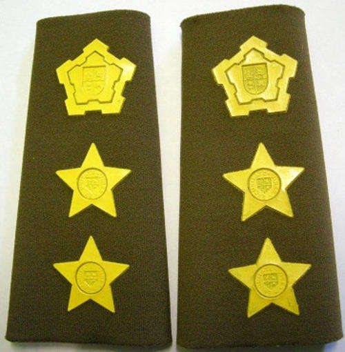 Colonel Rank Insignia Pair Rubberised